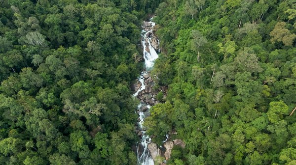 Quelles avancées médicales sont prévues pour les prochaines années ?