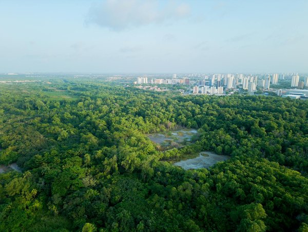 Streaming : la dernière adresse de wawacity à découvrir !